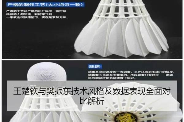 王楚钦与樊振东技术风格及数据表现全面对比解析